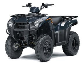 Kawasaki Brute Force 300 | 2024