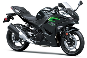 Kawasaki Ninja 500 | 2025